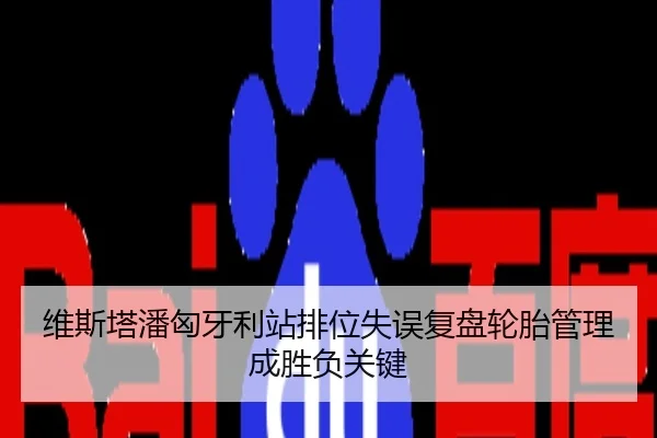 维斯塔潘匈牙利站排位失误复盘轮胎管理成胜负关键