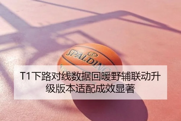 T1下路对线数据回暖野辅联动升级版本适配成效显著