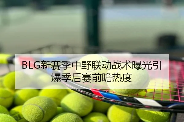 BLG新赛季中野联动战术曝光引爆季后赛前瞻热度