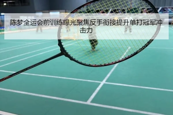 陈梦全运会前训练曝光聚焦反手衔接提升单打冠军冲击力