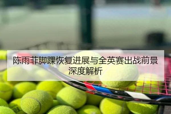 陈雨菲脚踝恢复进展与全英赛出战前景深度解析